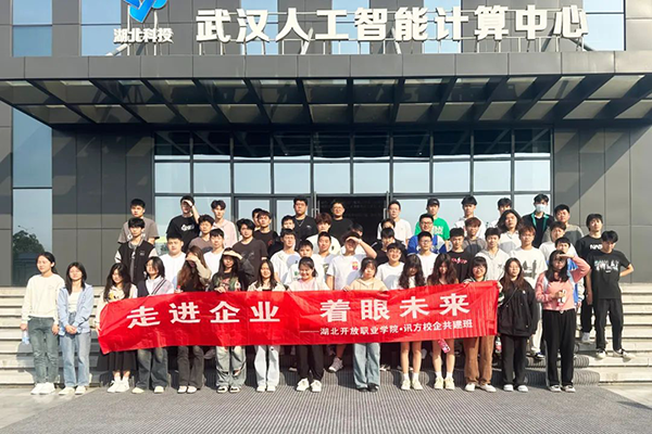 武汉人工智能计算中心.png